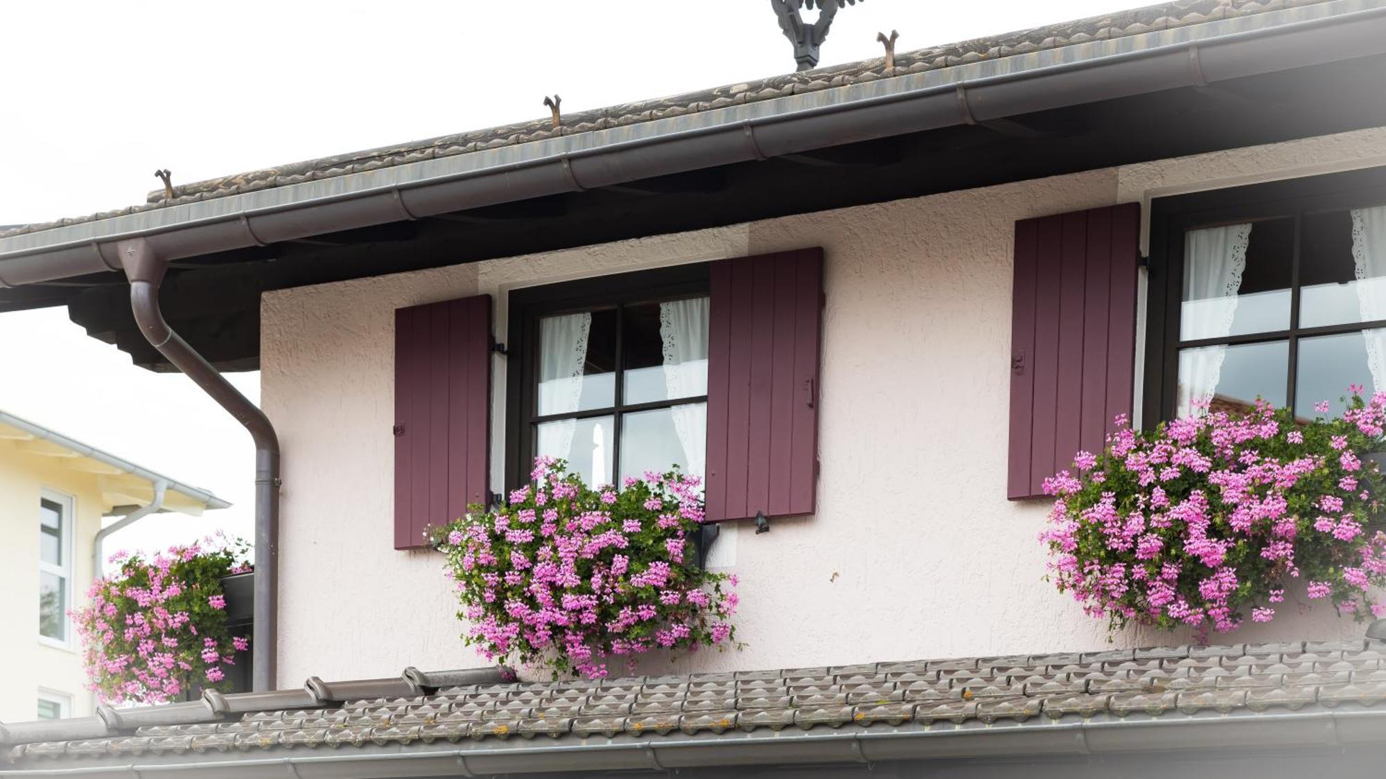 Gaestehaus Sattlerhof Bernau am Chiemsee Exteriér fotografie